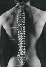 Asterischi scleroterapia fissa