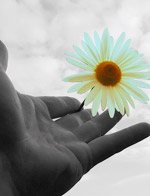Immagine: Mano in bianco e nero con tra le dita un fiore a colori